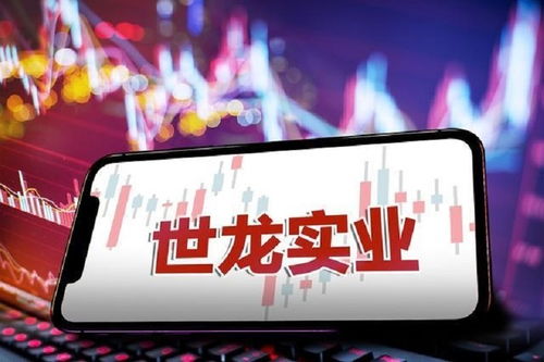 世龍實(shí)業(yè)股東數(shù)量連續(xù)下滑，公司遭立案調(diào)查面臨投資者索賠壓力