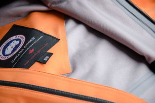 服飾鞋帽與箱包 時尚與實用的完美結合